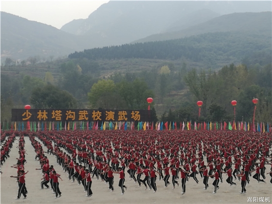 第十一屆鄭州國際少林武術(shù)節(jié)萬人武術(shù)團體操表演