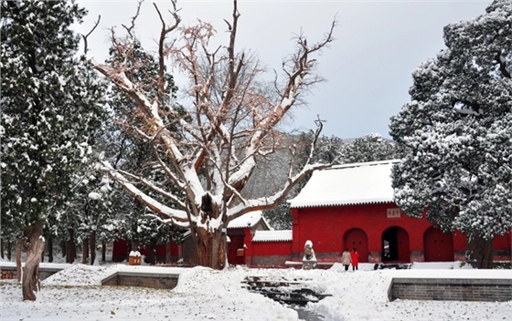 嵩山雪